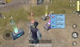 吃鸡爆料最新衣服,全新潮流服饰亮相，引领游戏时尚潮流！